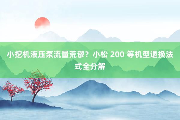 小挖机液压泵流量荒谬？小松 200 等机型退换法式全分解