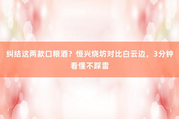 纠结这两款口粮酒？恒兴烧坊对比白云边，3分钟看懂不踩雷