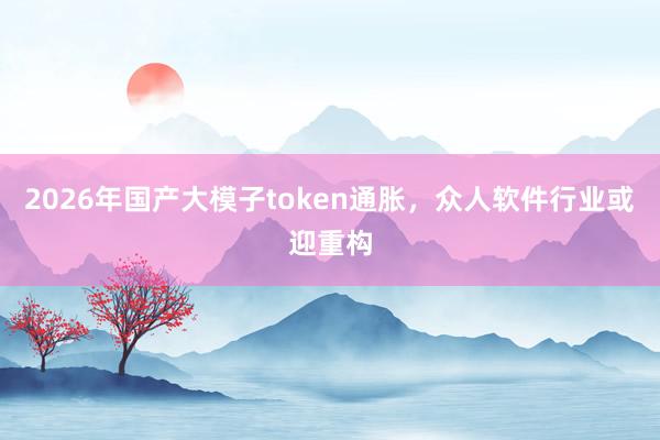 2026年国产大模子token通胀，众人软件行业或迎重构