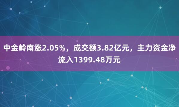 中金岭南涨2.05%，成交额3.82亿元，主力资金净流入1399.48万元