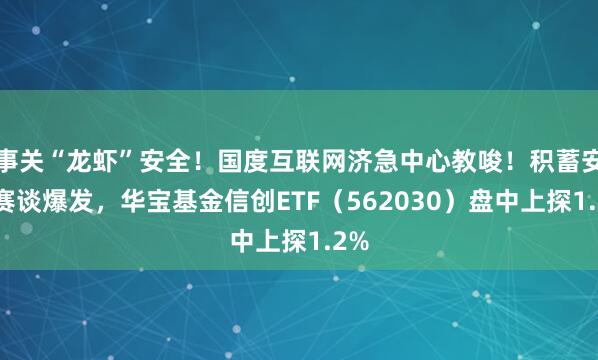 事关“龙虾”安全！国度互联网济急中心教唆！积蓄安全赛谈爆发，华宝基金信创ETF（562030）盘中上探1.2%