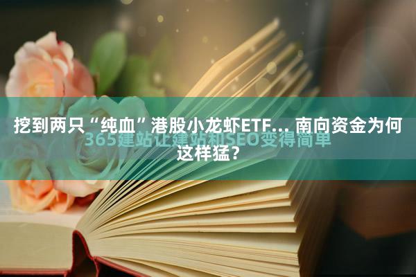 挖到两只“纯血”港股小龙虾ETF... 南向资金为何这样猛？