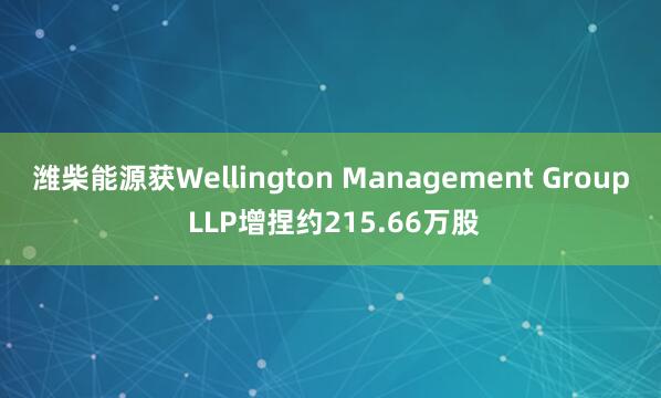 潍柴能源获Wellington Management Group LLP增捏约215.66万股