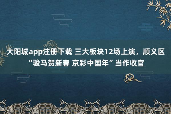 大阳城app注册下载 三大板块12场上演，顺义区“骏马贺新春 京彩中国年”当作收官
