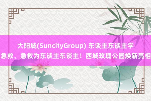 大阳城(SuncityGroup) 东谈主东谈主学急救、急救为东谈主东谈主！西城玫瑰公园焕新亮相