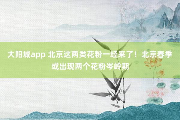 大阳城app 北京这两类花粉一经来了！北京春季或出现两个花粉岑岭期