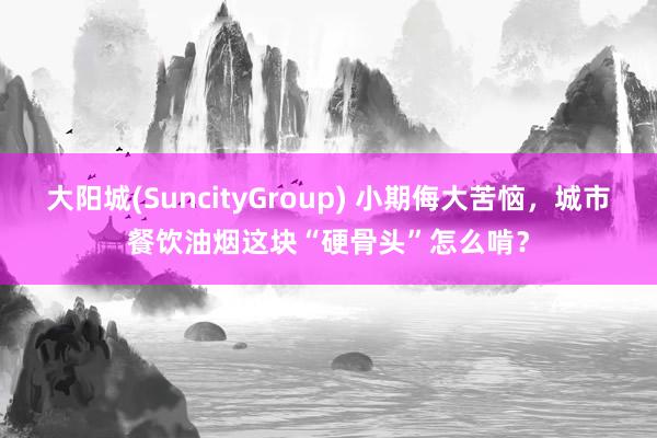 大阳城(SuncityGroup) 小期侮大苦恼，城市餐饮油烟这块“硬骨头”怎么啃？