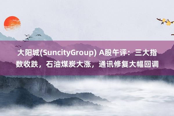 大阳城(SuncityGroup) A股午评：三大指数收跌，石油煤炭大涨，通讯修复大幅回调