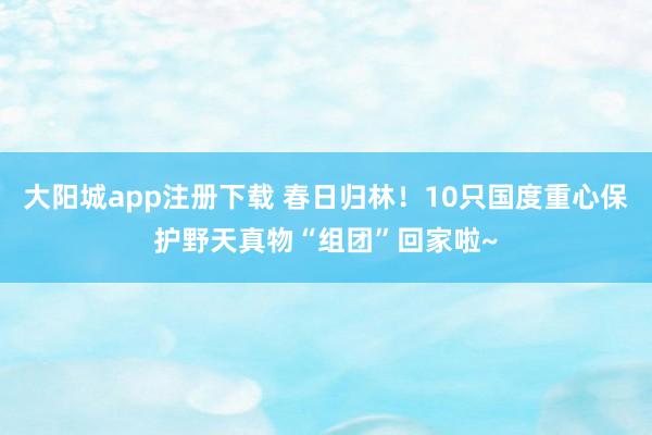 大阳城app注册下载 春日归林！10只国度重心保护野天真物“组团”回家啦~