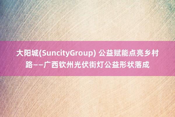 大阳城(SuncityGroup) 公益赋能点亮乡村路——广西钦州光伏街灯公益形状落成