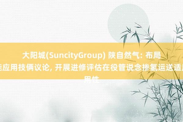 大阳城(SuncityGroup) 陕自然气: 布局氢能应用技俩议论， 开展进修评估在役管说念掺氢运送适用性
