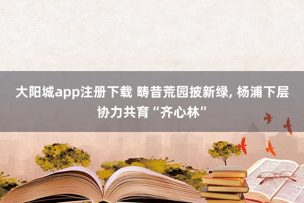 大阳城app注册下载 畴昔荒园披新绿， 杨浦下层协力共育“齐心林”