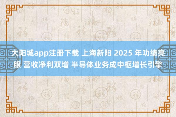 大阳城app注册下载 上海新阳 2025 年功绩亮眼 营收净利双增 半导体业务成中枢增长引擎