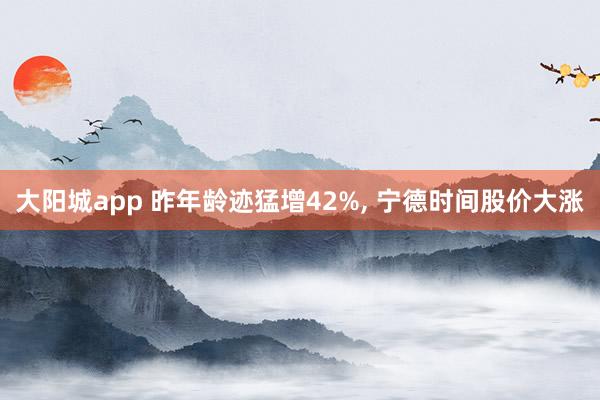 大阳城app 昨年龄迹猛增42%， 宁德时间股价大涨