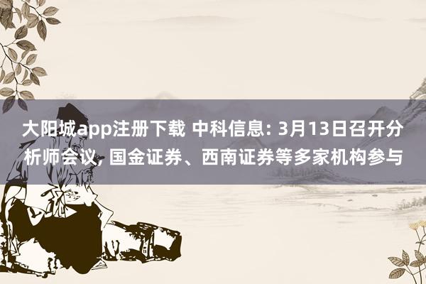 大阳城app注册下载 中科信息: 3月13日召开分析师会议， 国金证券、西南证券等多家机构参与