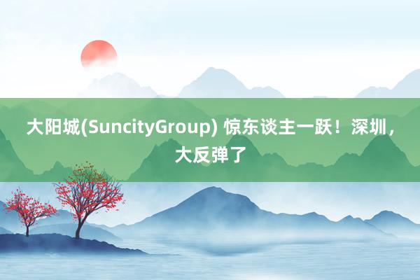 大阳城(SuncityGroup) 惊东谈主一跃！深圳，大反弹了