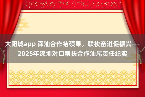 大阳城app 深汕合作结硕果，联袂奋进促振兴——2025年深圳对口帮扶合作汕尾责任纪实