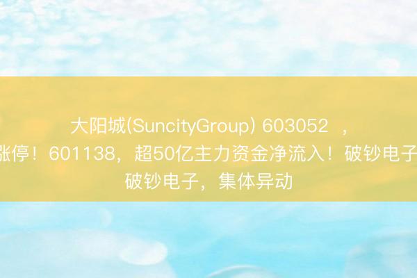 大阳城(SuncityGroup) 603052  ，强势连结2涨停！601138，超50亿主力资金净流入！破钞电子，集体异动