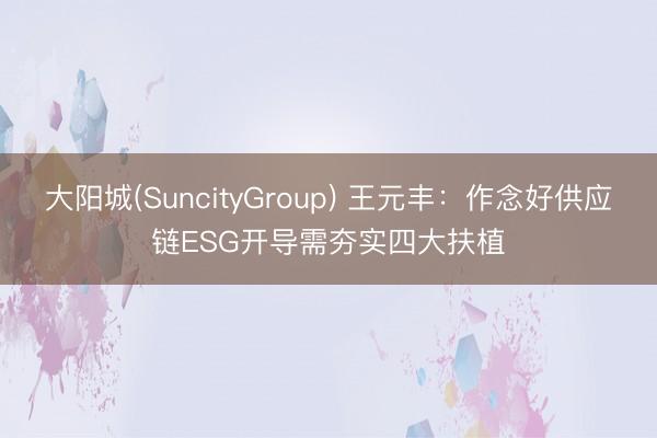 大阳城(SuncityGroup) 王元丰：作念好供应链ESG开导需夯实四大扶植