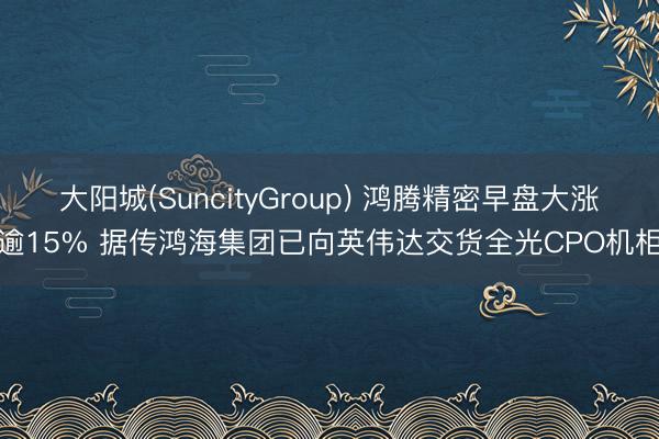 大阳城(SuncityGroup) 鸿腾精密早盘大涨逾15% 据传鸿海集团已向英伟达交货全光CPO机柜