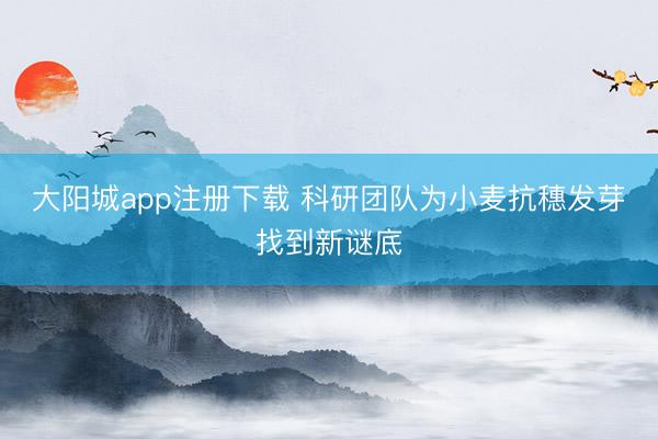 大阳城app注册下载 科研团队为小麦抗穗发芽找到新谜底