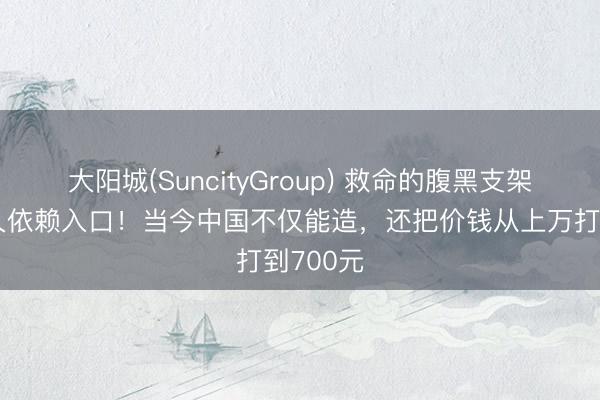大阳城(SuncityGroup) 救命的腹黑支架，曾恒久依赖入